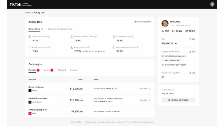 TikTokTalentManagerPortal